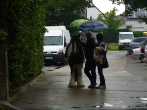 auch ein Pferd möchte vorm Regen geschützt sein
